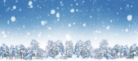 landscapes. Frozen winter forest with snow covered trees. outdoorの写真素材