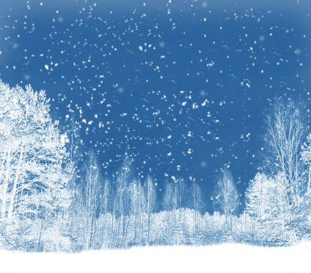 Landscapes. Frozen winter forest with snow covered trees. outdoorの写真素材