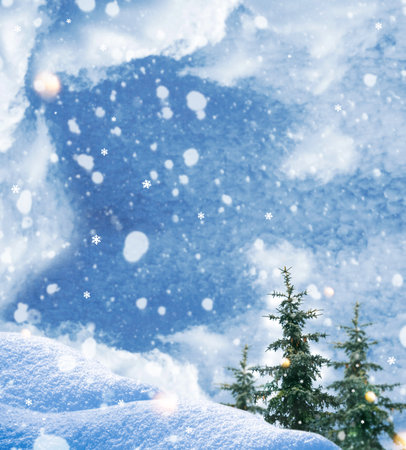 landscapes. Frozen winter forest with snow covered trees. outdoorの写真素材