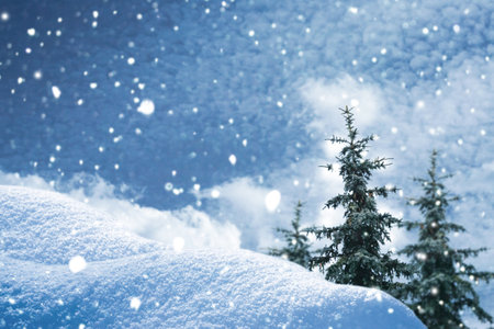 landscapes. Frozen winter forest with snow covered trees. outdoorの写真素材