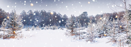 Landscapes. Frozen winter forest with snow covered trees. outdoorの写真素材