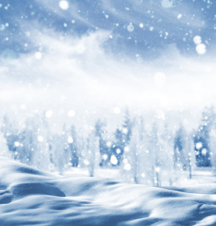 Landscapes. Frozen winter forest with snow covered trees. outdoorの写真素材