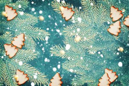 The branches of the snow covered Christmas tree. greeting cardの写真素材