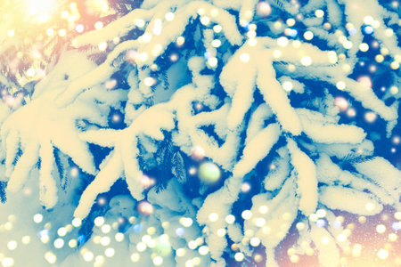 Blurred. Christmas tree in the snow. greeting card winterの写真素材
