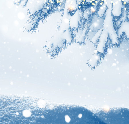 Frozen winter forest with snow covered trees. Coniferous spruce branch. outdoorの写真素材