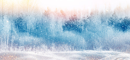 landscapes. Frozen winter forest with snow covered trees. outdoorの写真素材