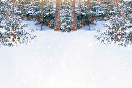 Blurred. Christmas tree in the snow. greeting card winterの写真素材