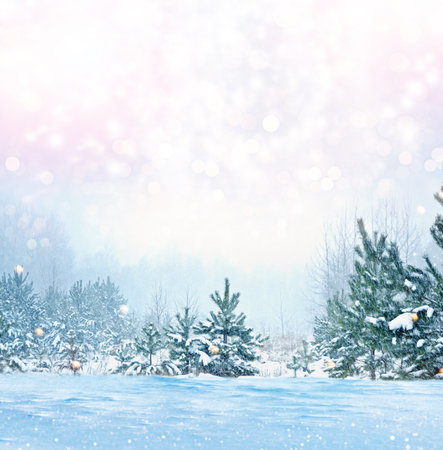 Heavy snowfall. Landscapes. Frozen winter forest with snow covered trees. outdoorの写真素材
