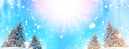 landscapes. Frozen winter forest with snow covered trees. outdoorの写真素材