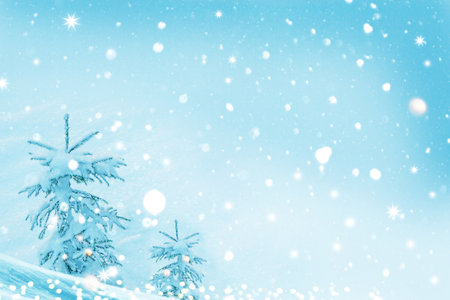 Christmas tree in the snow. Landscapes. Frozen winter forest with snow covered trees. outdoorの写真素材