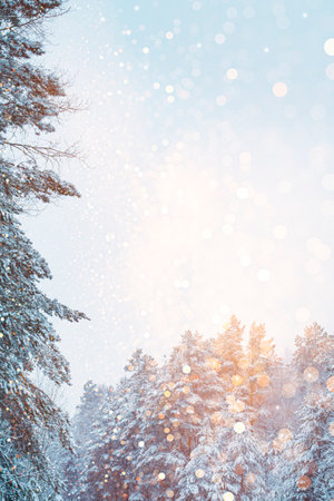 landscapes. Frozen winter forest with snow covered trees. outdoorの写真素材