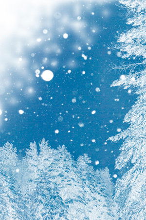 landscapes. Frozen winter forest with snow covered trees. outdoorの写真素材