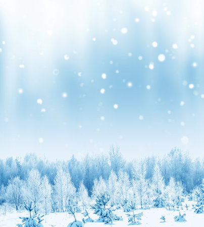 landscapes. Frozen winter forest with snow covered trees. outdoorの写真素材