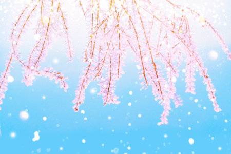 Blurred frozen grass. Winter abstract background. Landscape. outdoorの写真素材