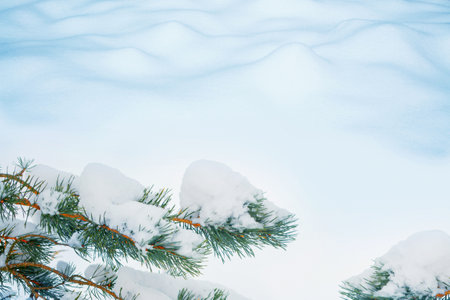 New Years Eve. Frozen winter forest with snow covered trees. Coniferous spruce branch. outdoorの写真素材
