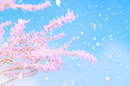 Blurred frozen grass. Winter abstract background. Landscape. outdoorの写真素材