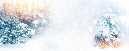 Blurred. Landscapes. Frozen winter forest with snow covered trees. outdoorの写真素材