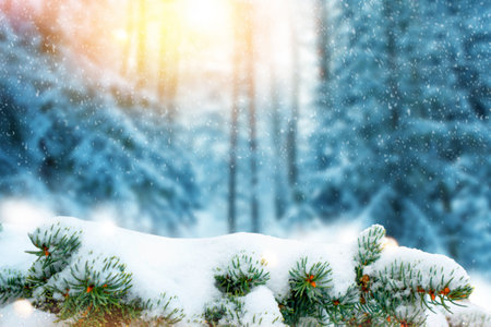 New Years Eve. Landscapes. Frozen winter forest with snow covered trees. outdoorの写真素材