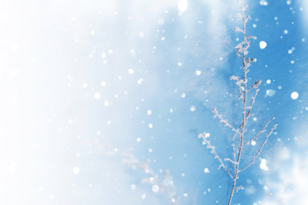 Blurred frozen grass. Winter abstract background. Landscape. outdoorの写真素材