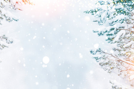 Blurred. Landscapes. Frozen winter forest with snow covered trees. outdoorの写真素材