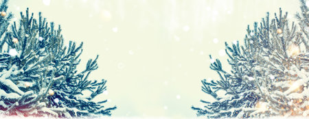 Frozen winter forest with snow covered trees. Coniferous spruce branch. outdoorの写真素材