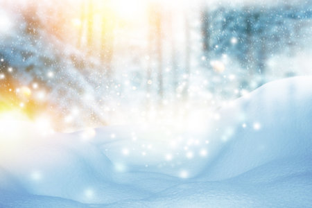 New Years Eve. Landscapes. Frozen winter forest with snow covered trees. outdoorの写真素材