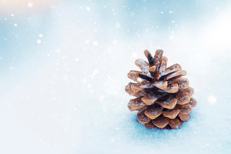 Pine cone. Winter. Beautiful landscape with snow covered fir trees and snowdrifts.Merry Christmas...