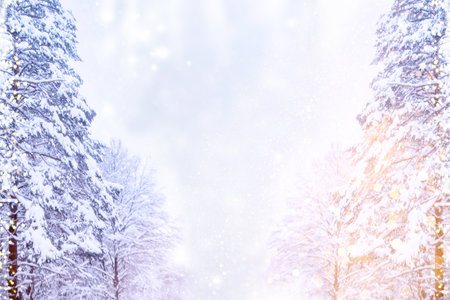 landscapes. Frozen winter forest with snow covered trees. outdoor