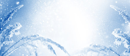 Blurred frozen grass. Winter abstract background. Landscape. outdoorの写真素材