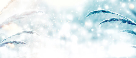 Abstract natural background. Blurred frozen grass. Winter abstract background. Landscape. outdoorの写真素材