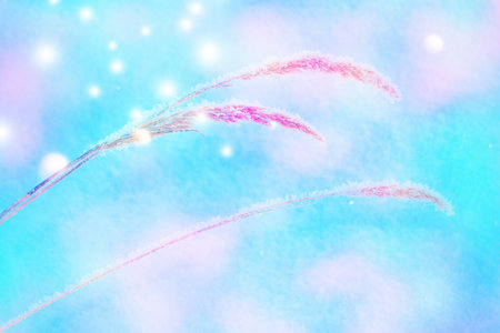 Abstract natural background. Blurred frozen grass. Winter abstract background. Landscape. outdoorの写真素材