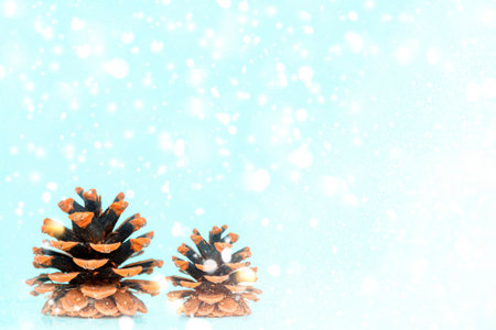 Pine cone. Winter. Beautiful landscape with snow covered fir trees and snowdrifts.Merry Christmas and happy New Year greeting background.の写真素材