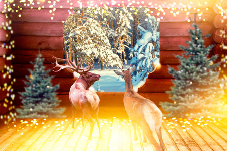 Beautiful deer in a snowy forest. Christmas night. New Year card. Holiday.の写真素材