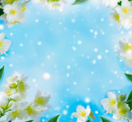 White jasmine. The branch delicate spring flowers. natureの写真素材