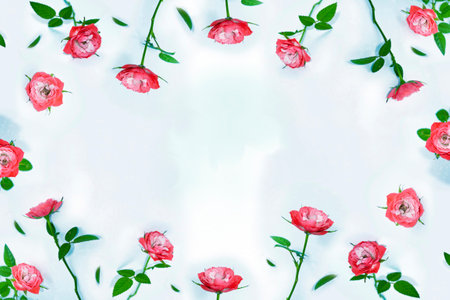 Bright colorful flower rose. Natural floral background. Holiday greeting card.の写真素材