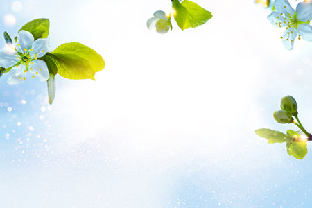 Delicate natural floral background. nature. Blossoming branch cherry. Bright colorful spring flowers