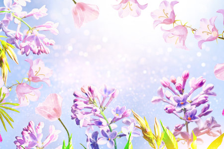 Spring branch of blossoming lilac. Beautiful violet Lilac flowerの写真素材