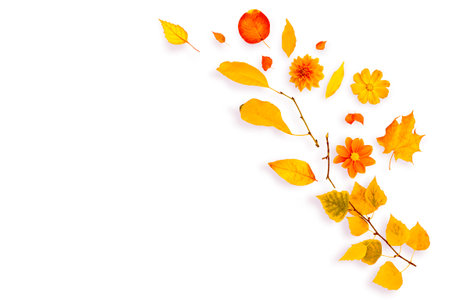 Autumn natural composition of branches, leaves and flowers. Nature.の写真素材
