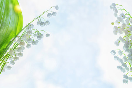 Blurred floral natural background. Soft focus. Spring landscape. flowers lily of the valley. outdoorsの写真素材