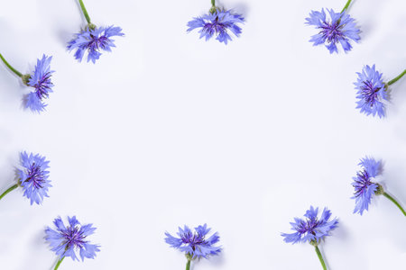 soft focus. Natural floral background. Spring branch of blossoming cornflower flowers. Beautiful flowerの写真素材