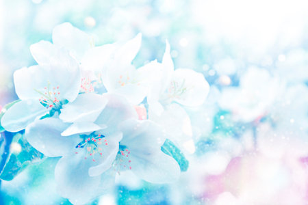 Blurred. Blossoming branch apple. Bright colorful spring flowers. Beautiful nature sceneの写真素材