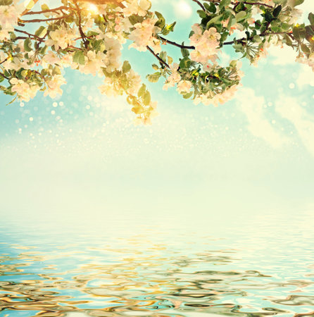 Blossoming branch apple. Bright colorful spring flowersの写真素材