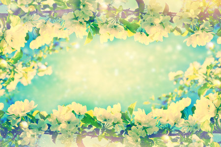 Delicate natural floral background. nature. Blossoming branch cherry. Bright colorful spring flowersの写真素材