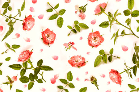 Bright colorful flower rose. Natural floral background. Holiday greeting card.の写真素材