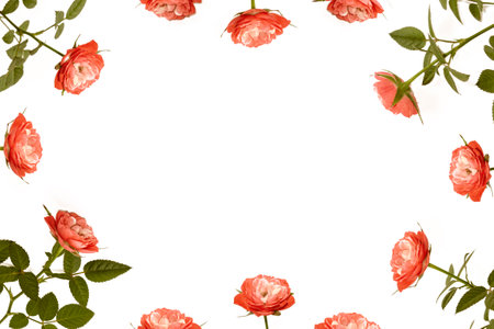 Bright colorful flower rose. Natural floral background. Holiday greeting card.の写真素材