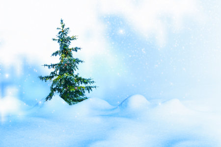 Christmas winter background. Merry christmas and happy new year greeting card. Frozen winter forest with snow covered trees. outdoorの写真素材