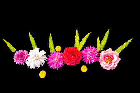 Natural pattern. summer wild flowers on black background. flower arrangement.の写真素材
