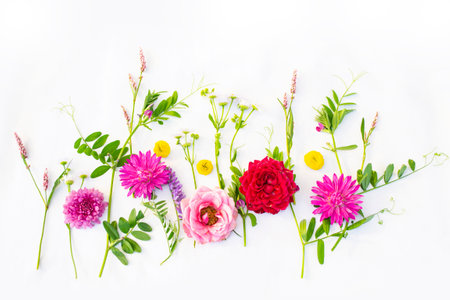 Natural pattern. summer wild flowers on white fabric. background. flower arrangement.の写真素材