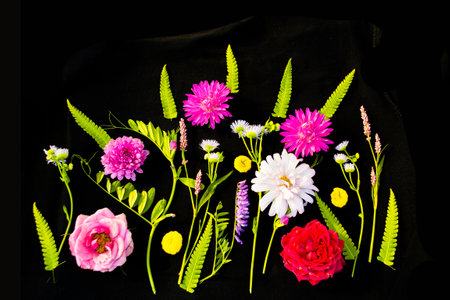 summer wild flowers on black background. flower arrangement.の写真素材