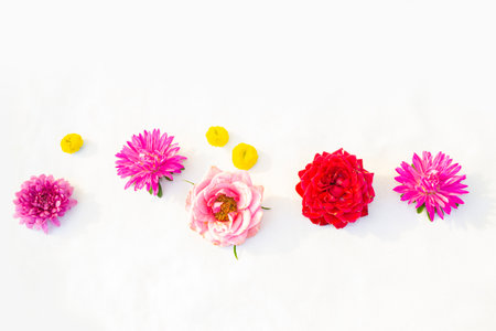 Natural pattern. summer wild flowers on white fabric. background. flower arrangement.の写真素材